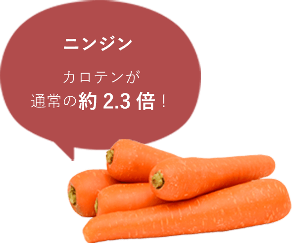 ニンジン　カロテンが通常の約2.3倍