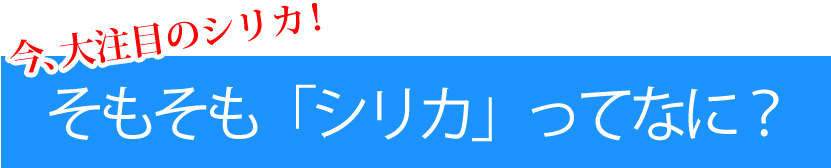 そもそもシリカって何？