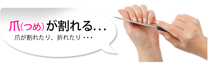 爪（つめ）が割れる・・・爪が割れたり、折れたり・・・