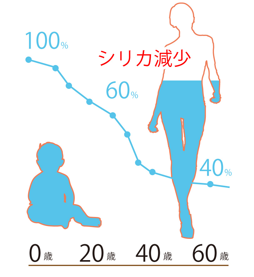 シリカ減少グラフ