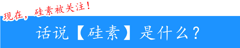 そもそもシリカって何？